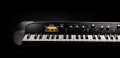 KORG-SV-2-88-stage-piano-pianino