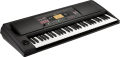 KORG-EK-50-L-keyboard-aranzer