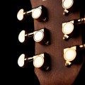 CORT-GOLD-MINI-W/CASE-NAT-gitara-akustyczna