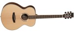 TANGLEWOOD DBT F EB - Gitara akustyczna Nowość!