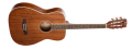 13209.png