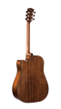 13590 (1).png