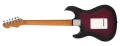 SV2-MV-Back-G2.webp