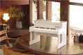 tinyPIANO_wh_image_rgb.jpeg